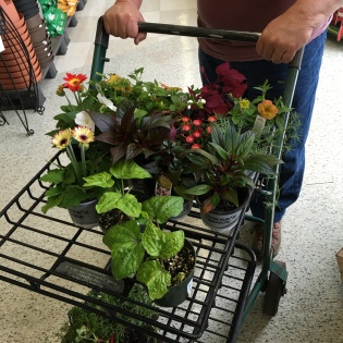 Cart full of flowers 